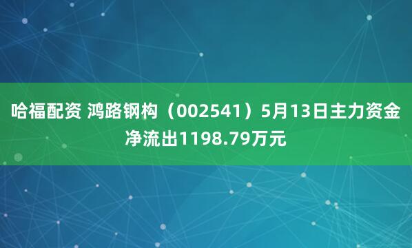 哈福配资 鸿路钢构（002541）5月13日主力资金净流出1198.79万元