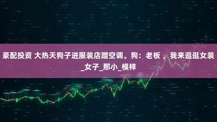 豪配投资 大热天狗子进服装店蹭空调。狗：老板 ，我来逛逛女装_女子_那小_模样