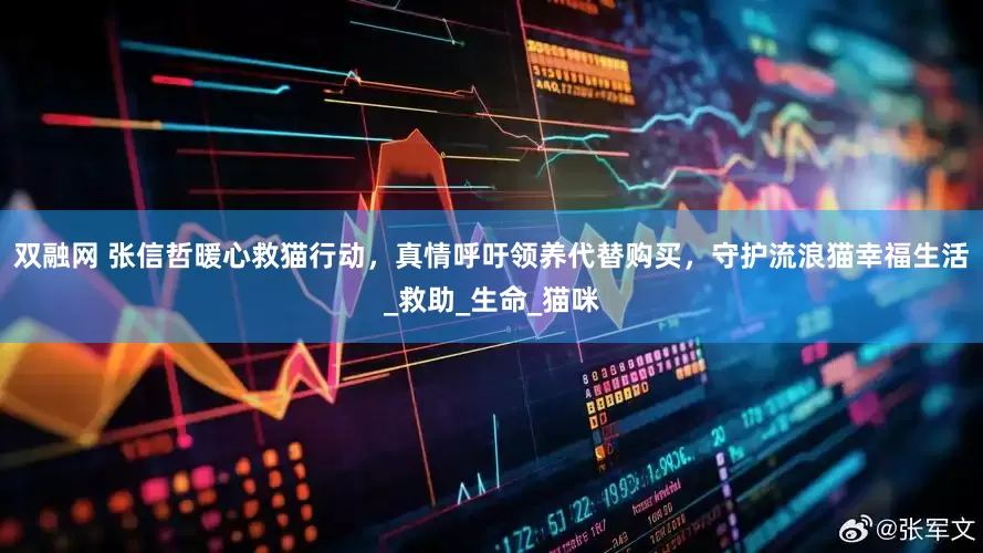 双融网 张信哲暖心救猫行动，真情呼吁领养代替购买，守护流浪猫幸福生活_救助_生命_猫咪